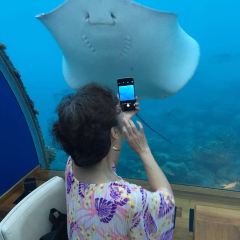 ITHAA UNDERSEA RESTAURANT ảnh của người dùng