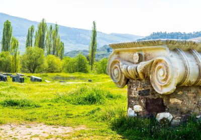 Selcuk