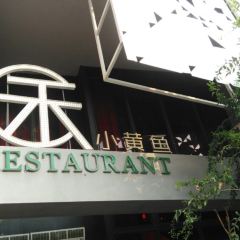XIAOHUANGYU IN TUWEIMEI ảnh của người dùng