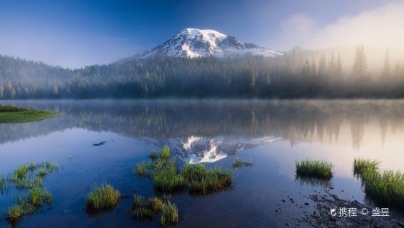 Perjalanan Sehari ke Gunung Rainier Dari Seattle