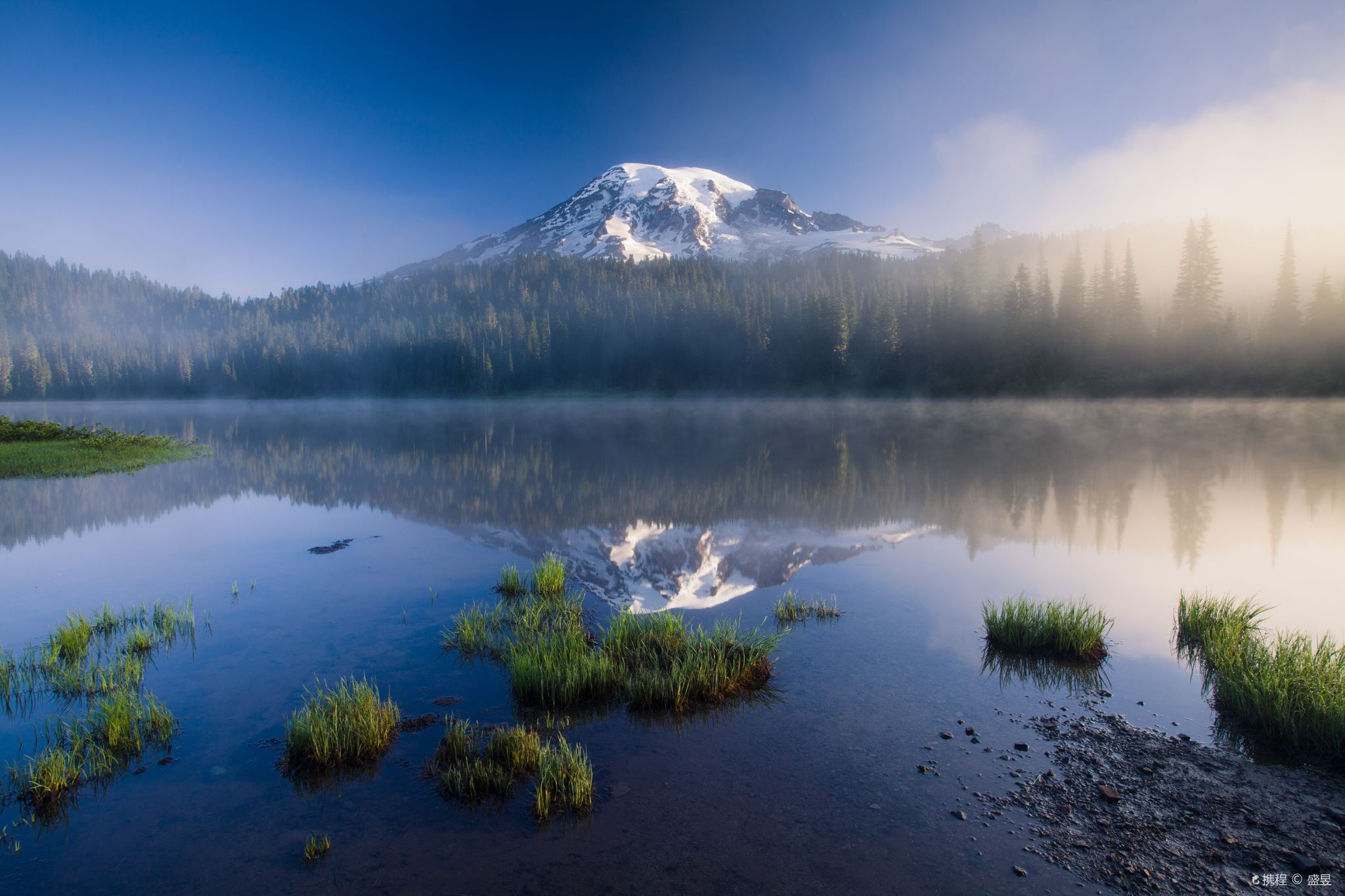 Mount Rainier Day Trip From Seattle