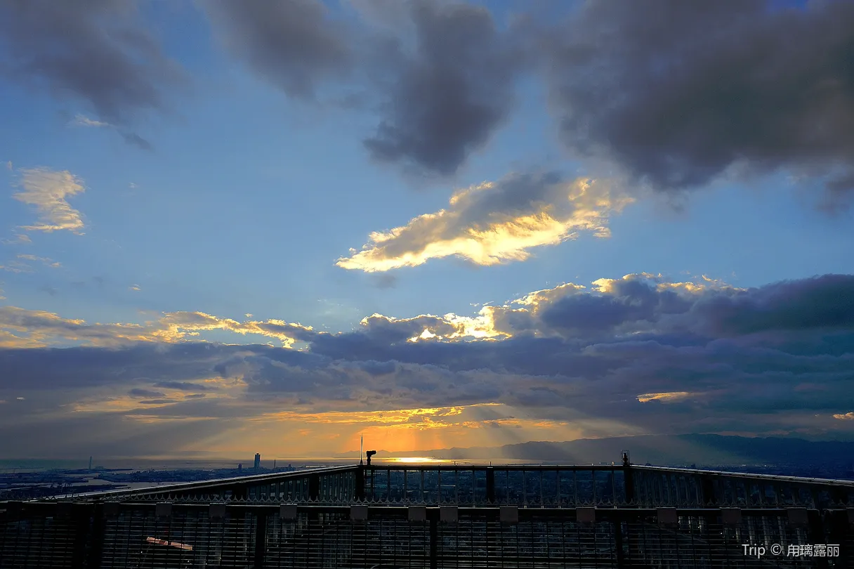 5_Abeno Harukas 300 Observatory