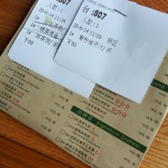 Green Tea User Photo