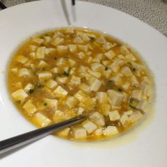 Song helou User Photo