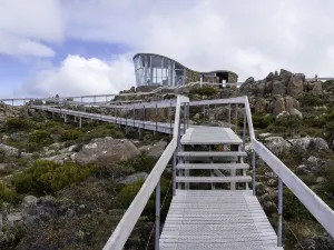 Mont Wellington