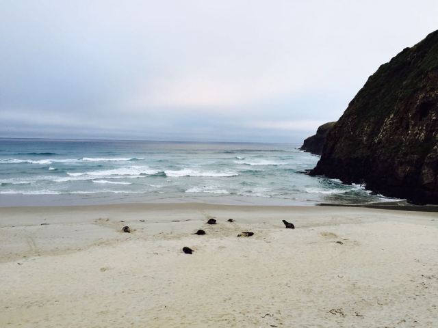 Otago Peninsula