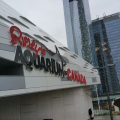 360 The Restaurant at the CN Tower User Photo