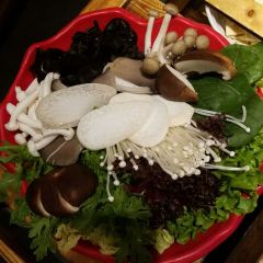 E ER DUI CHUAN TONG SHUAN LU DE DIAN User Photo