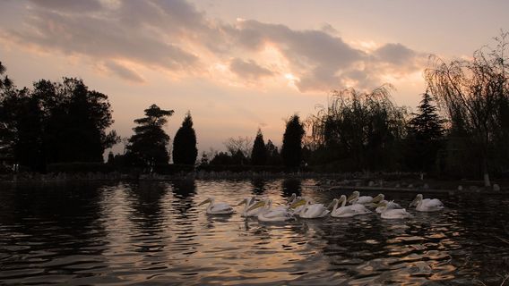 KunmingTours