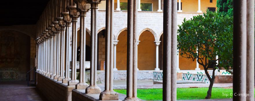 Monastery of Pedralbes