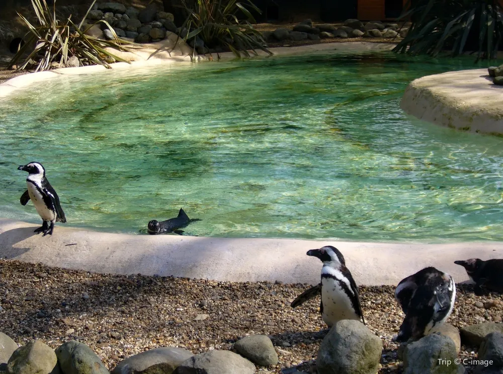 5_London Zoo
