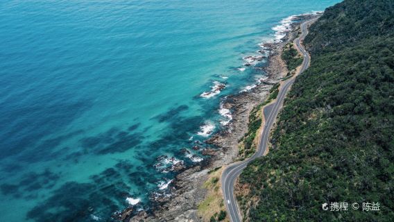 墨爾本大洋路步道+十二門徒岩+吉布森台階一日遊【司導/包車】