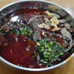 Jin Pai Luo Ji Chang Wang Mian User Photo