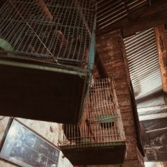 TRANSPORT TEAHOUSE User Photo
