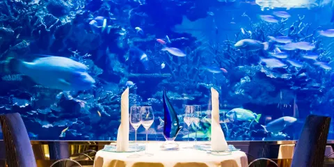 Ristorante L’Olivo at Al Mahara