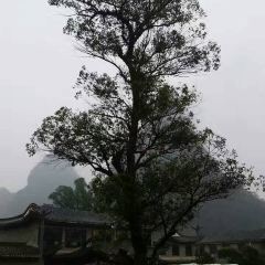黄姚大排档 User Photo