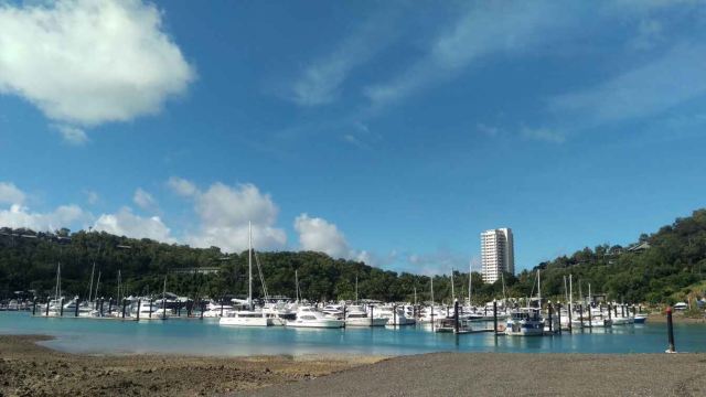 Marina and Main Street