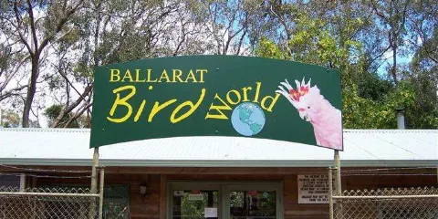 巴拉臘特鳥的世界