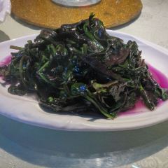 董府張用戶圖片