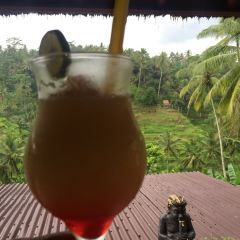 Bali Asli User Photo