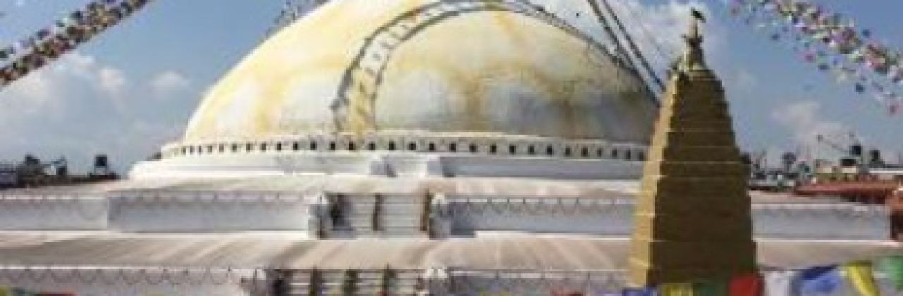 Sakura Japanese Restaurant & Cafe