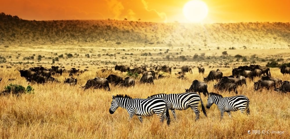 КенияОднодневные туры