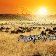 Kenya