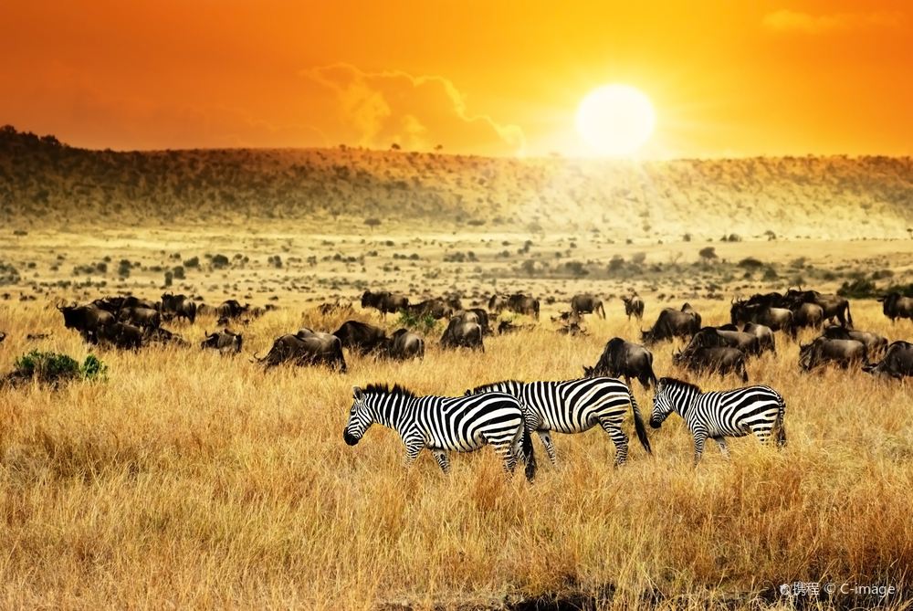 Kenya