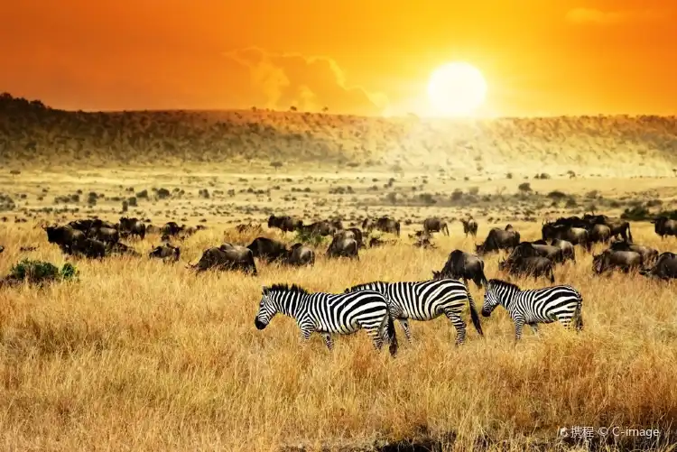 Villas in Kenya