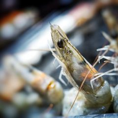 Ming Dong Barbecued Meat (Liao He Road) User Photo