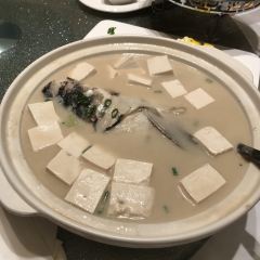 WANG TING FAN DIAN User Photo