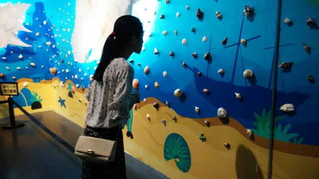 Guangdong Provincial Museum