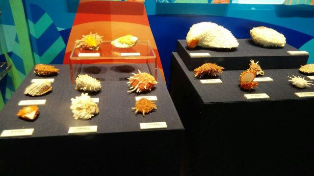 Guangdong Provincial Museum