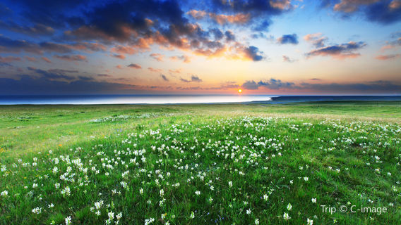 Sunrise Sightseeing at Qinghai Lake