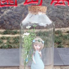 大清花饺子(韩城店) User Photo