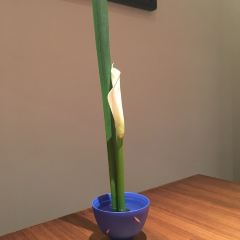 FU HE HUI User Photo