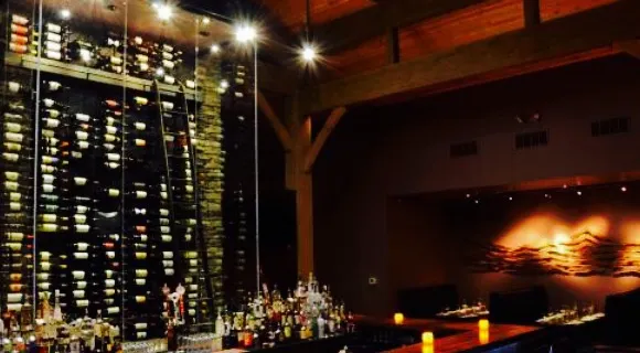 Michaelangelo's Big Sky