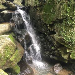 施记饭庄 User Photo