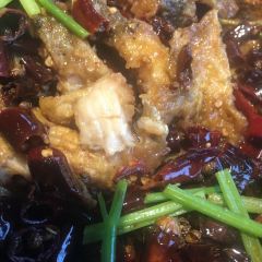 老板恋上鱼(雨滴广场店) User Photo