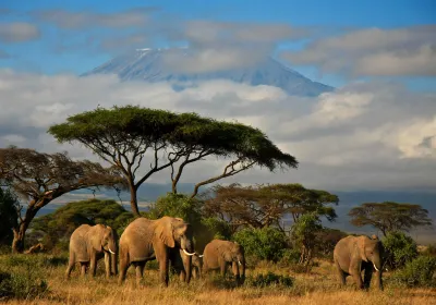 Amboseli National Park
