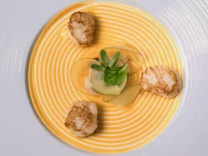 Portfolio restaurant