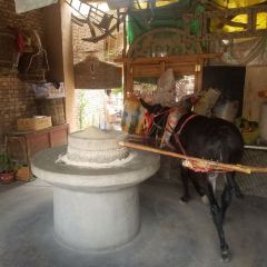 Yuquanshanzhuang (dingyuan) User Photo