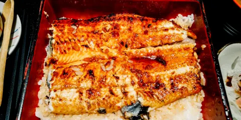 森江鰻魚屋（開發區店）