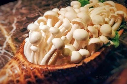 壹家海派老火锅(爱建店)