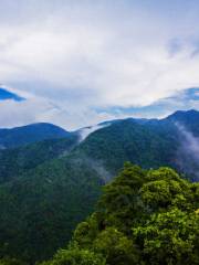 鎮山國家森林公園