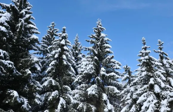 Sci運動公寓式酒店
