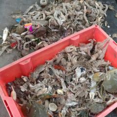 Sheng shan hai xian ting User Photo