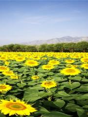 Colorful Land Scenic Spot