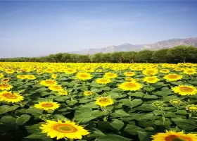 Colorful Land Scenic Spot