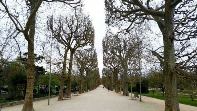 Jardin des serres d'Auteuil